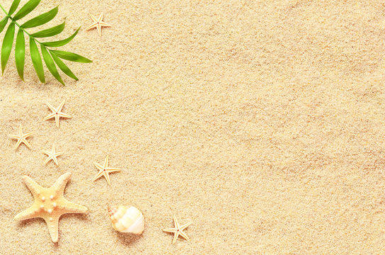 Sea sand with starfish and shells. Top view with copy space