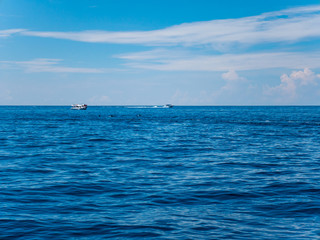 Blue ocean and sky with group of dolphins
