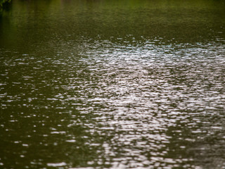 Wasseroberfläche