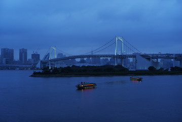 Fototapeta na wymiar レインボーブリッジと東京湾