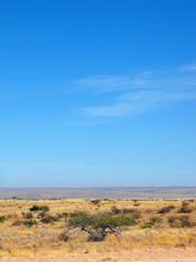 Namibia Landscape