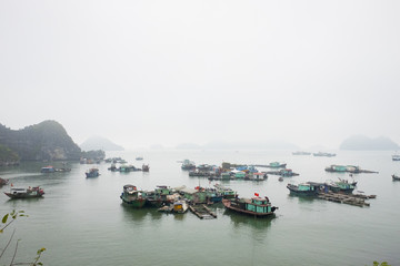 Boats in the harbor on Cat Ba Island, Hai Phong Province, Vietnam