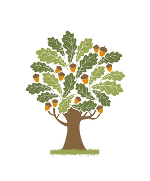 Oak tree icon.