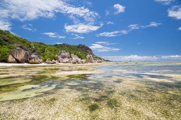 island beach in indian ocean on seychelles