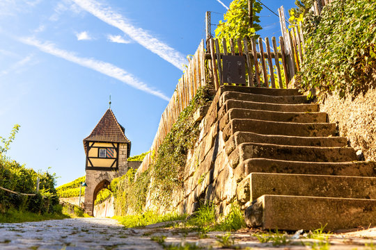 View Of Esslingen Am Neckar Germany Old Vineyards At Neckarhalde