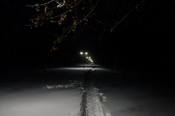 Obraz premium Winter alley in park and shining lanterns. Night shot.