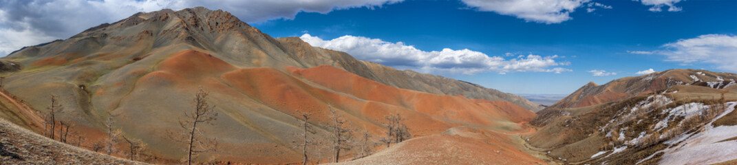 panoramic view of beautiful meadow at sunny day with cloudy sky on background 
