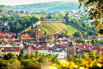 view of Esslingen am Neckar Germany with castle - obrazy, fototapety, plakaty