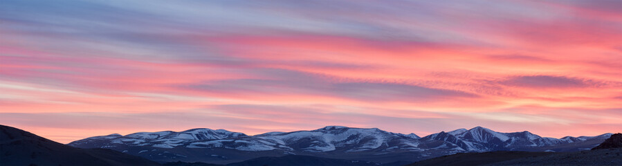silhouette of tree on hill with colorful sky on background 
