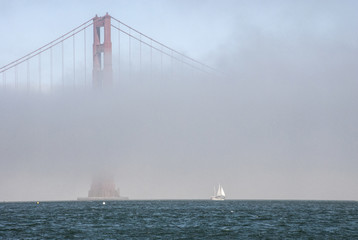 Golden Gate Fog