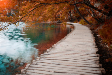 Fototapeta na wymiar Wooden path across beautiful lake in sunny autumn forest