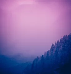 Fototapete Hellviolett Foto, das einen nebligen mystischen Kiefernwald im Hintergrund in den Bergen darstellt. Dunkle gruselige Szene. Nebliger bewölkter Morgen in den Bergen Pirin, Bulgarien.
