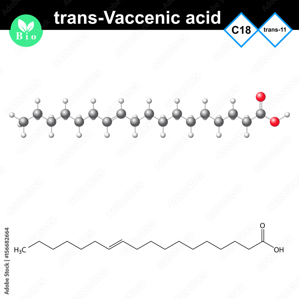 Wall mural trans- Vaccenic unsaturated fatty acid