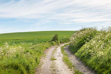 Fototapeta na wymiar Pathway through the countryside