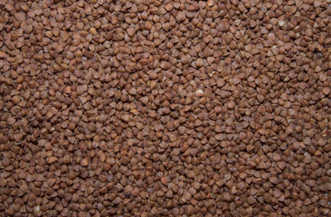 Buckwheat  Close-up. Up view