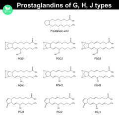 Fototapeta premium Prostaglandins of g, h, j types