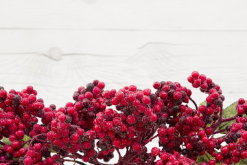 Old fashion Christmas berry background