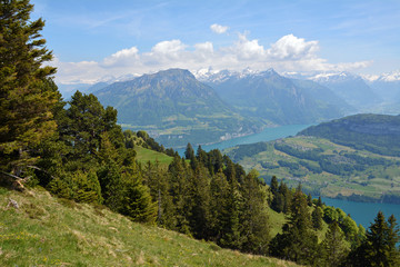 Fototapeta na wymiar Vierwaldstättersee Panorama, Fronalpstock