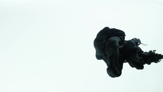Sumi black ink into water