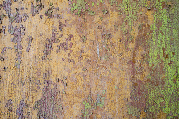 multicolor aged paint on wooden door grunge texture
