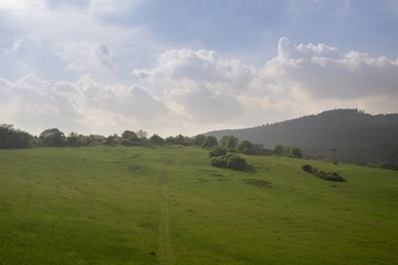 Obraz premium Green meadow during sunny and cloudy afternoon. Slovakia