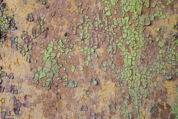 multicolor aged paint on wooden door grunge texture