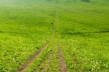 Green meadow during sunny and cloudy afternoon. Slovakia