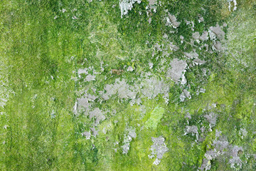 peeling paint pattern on mossy concrete wall texture	