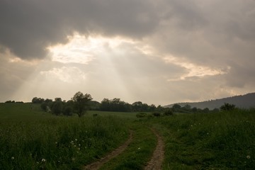 Sunset on meadow with hills and tree. Slovakia