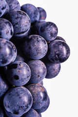Berries of dark bunch of grape  in low light isolated on white background