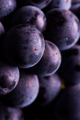 Close-up, berries of dark bunch of grape  in low light isolated on black background