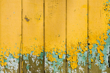 decayed yellow planks