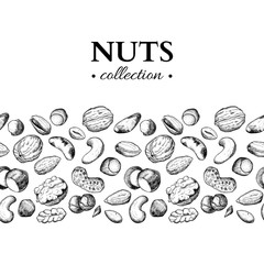 Nuts vector vintage illustration. Hand drawn engraved food objects.