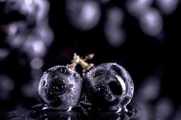 Close-up, berries of dark bunch of grape  in low light isolated on black background