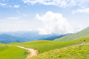 Fototapeta na wymiar Summer Mountain Plateau Highland with Artvin, Turkey