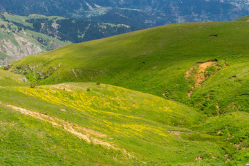 Fototapeta na wymiar Summer Mountain Plateau Highland with Artvin, Turkey