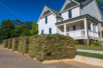 Horizontal photo of green and brown sod on wooden pallets with partial white house and trees in the...