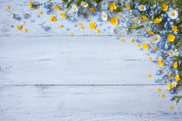 Forget-me-not on a wooden background