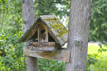 Feeders for birds and squirrels
