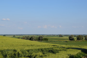 Fototapeta na wymiar Agricultural land in the spring