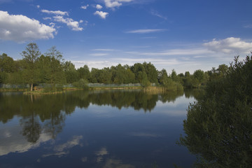 Fototapeta na wymiar Landscape. The small lake with the wood on the horizon.