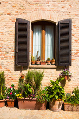 Fototapeta na wymiar Window with wooden shutters of old house and cactuses
