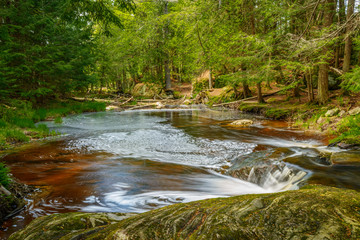 Muskoka Waterfall Pond