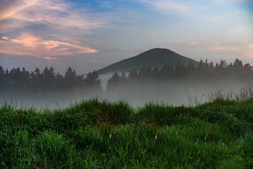 Amazing warm sun light above the forest valley of czech national park bohemian switzerland