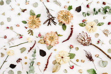 Dried flowers texture: beige peony, protea, eucalyptus branches, roses on white background. Flat...