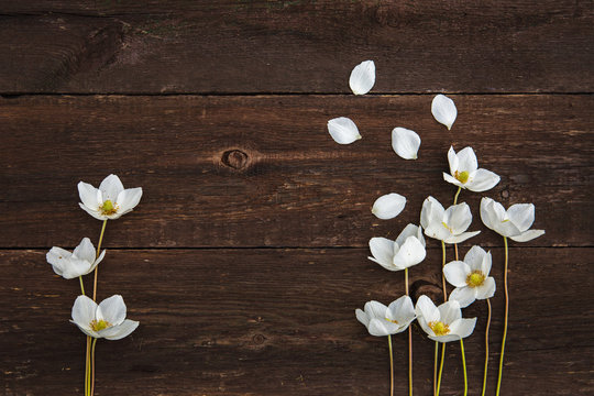 White anemones on an old wooden background.