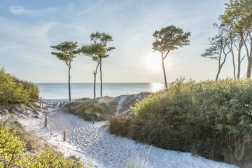 weststrand