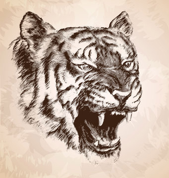 The head of the evil tiger