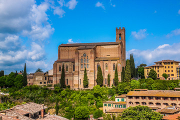  Church of San Domenico Siena, Italy 