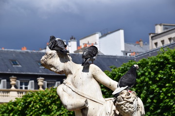 statue &agrave; pigeon